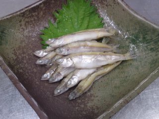 稚鮎 ちあゆ の釜揚げ プロが教える とっておきおつまみレシピ集